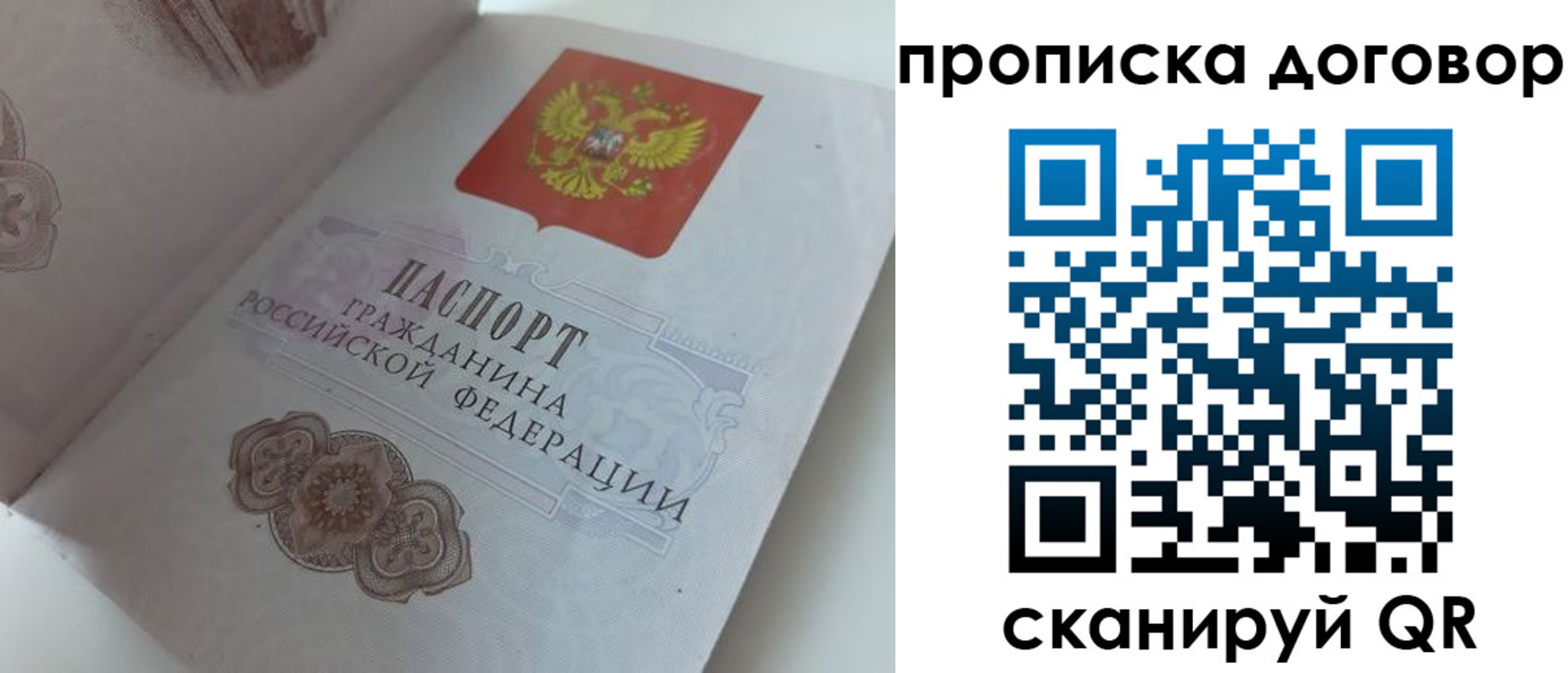 прописка поиск в Балашове